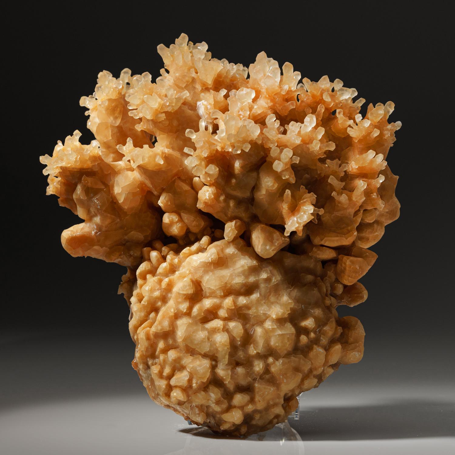 18th Century and Earlier Golden Porcupine Calcite Cluster from Java, Indonesia For Sale