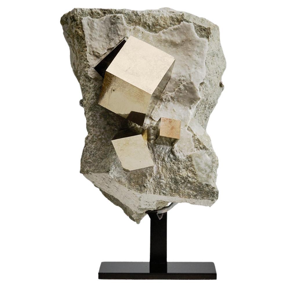 Golden Pyrite on Matrix
