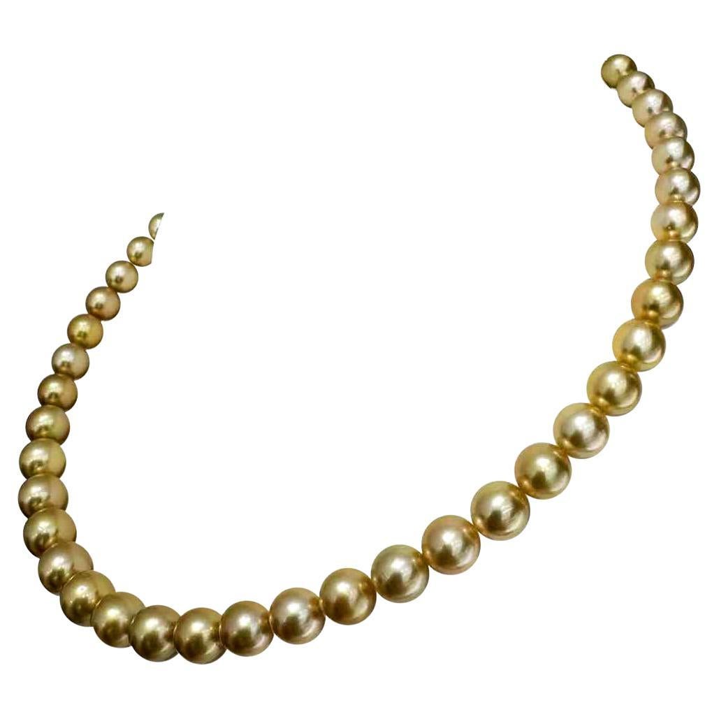 【Golden Radiance】GUILD-Certified Rich Golden South Sea Pearl Necklace For Sale