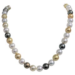 Golden South Sea and Tahitian Multi Color Round Necklace with Gold Clasp