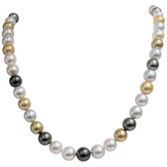 Golden South Sea and Tahitian Multi Color Round Necklace with Gold Clasp