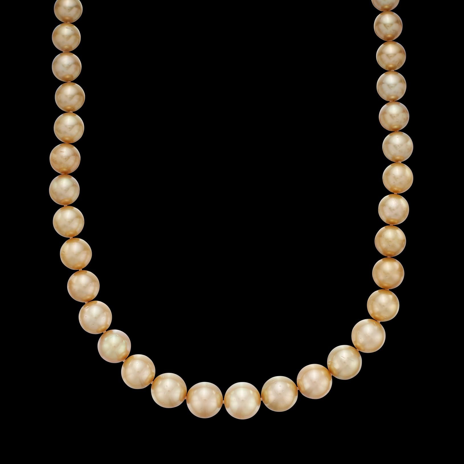 Golden South Sea Cultured Pearl & 14k Gold Necklace For Sale 2