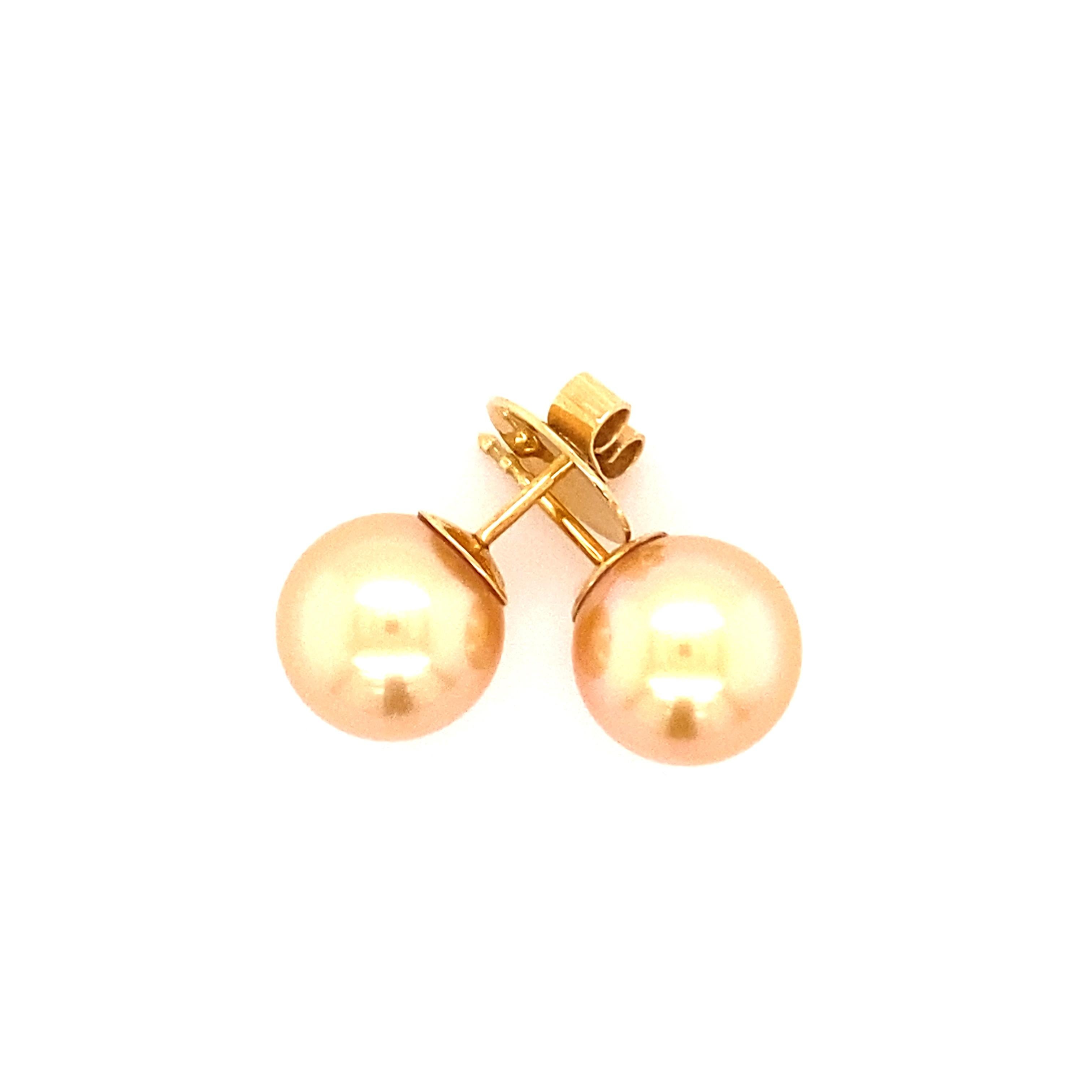 Golden South Sea Cultured Pearl Ear Studs in 18 Karat Yellow Gold For Sale 2