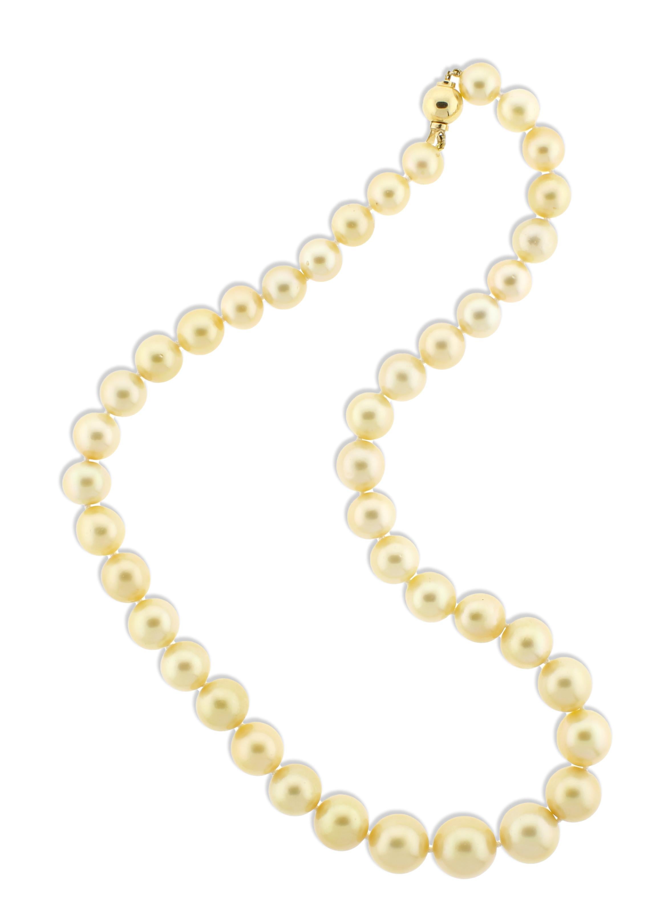 Eleva il tuo stile con questa lussuosa collana di perle dorate dei mari del sud, caratterizzata da una splendida gradazione di perle di dimensioni comprese tra 9 e 13,4 mm. Selezionate a mano per la loro radiosa lucentezza e le calde sfumature