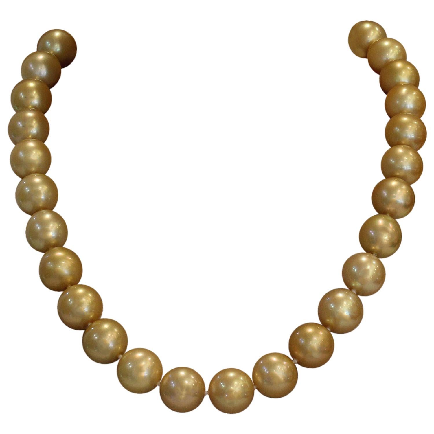 Golden South Sea Pearl Gold Necklace
