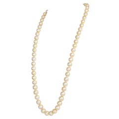 Golden South Sea Pearl Necklace 14-12mm, 34 Inches long