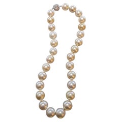 Golden South Sea Pearl Necklace 16.8 inch 18k White Gold Diamond Clasp