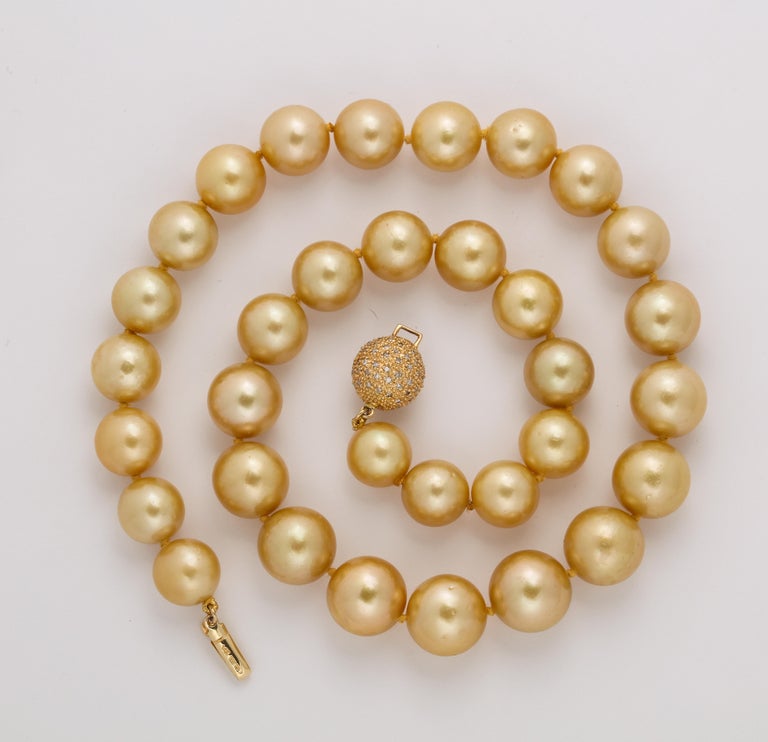 Golden South Sea Pearl Necklace, 18 Karat Yellow Gold Diamond Clasp at ...