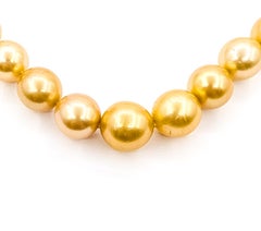 Golden South Sea Pearl Strand Necklace in 14k Yellow Gold