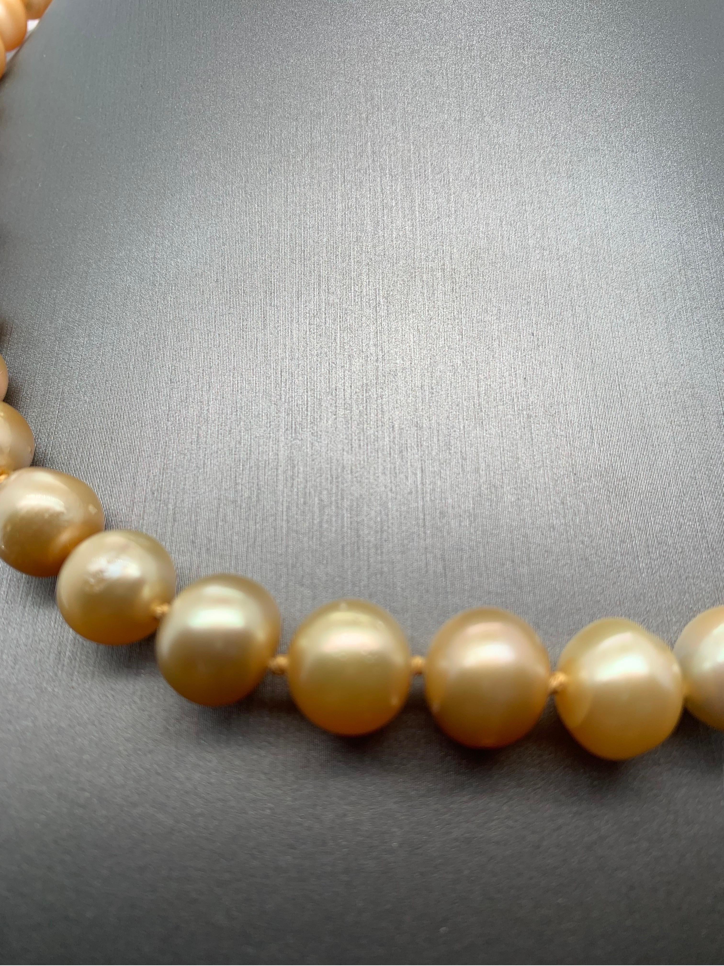Round Cut Golden South Sea Pearl Strand Necklace with 14k Yellow Gold Clasp For Sale