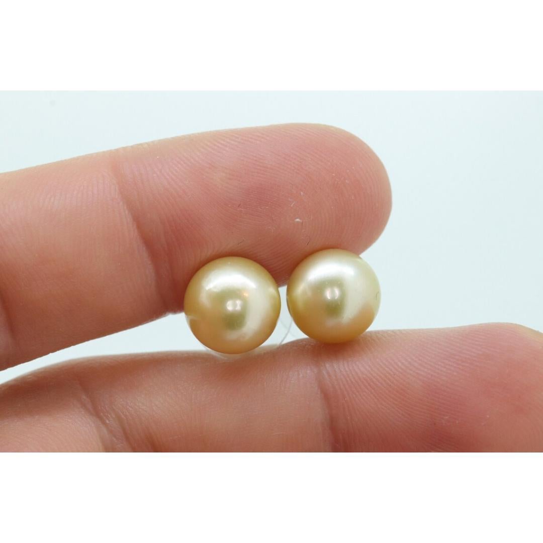 GOLDEN SOUTH SEA Pearl Stud Earrings -10mm Deep Golden South Sea Pearls - 14k For Sale 2