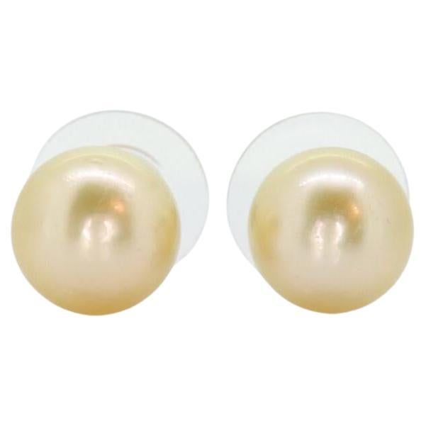 PENDIENTES DE PERLAS DEL MAR DEL SUR DORADAS -10mm Perlas del Mar del Sur Doradas Profundas - 14k