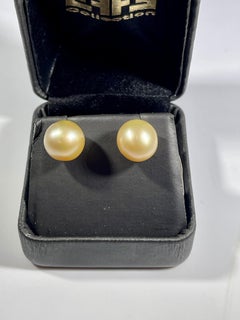 Golden South Sea Pearl Stud Earrings 18 Karat Yellow Gold
