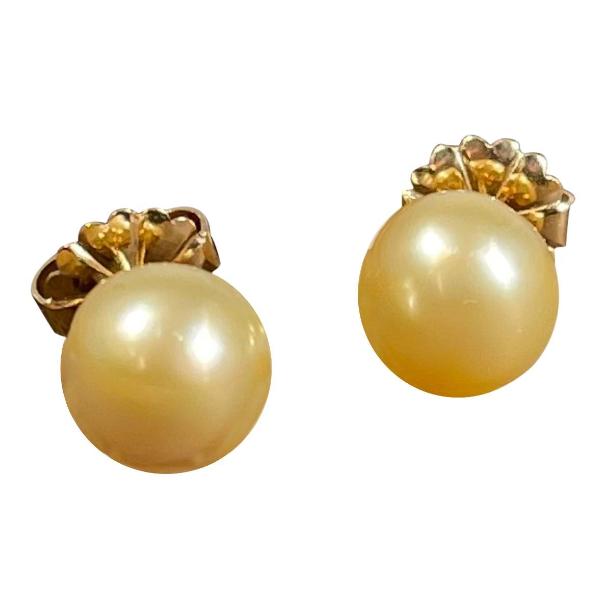 Clous d'oreilles en or jaune 18 carats avec perles des mers du Sud dorées