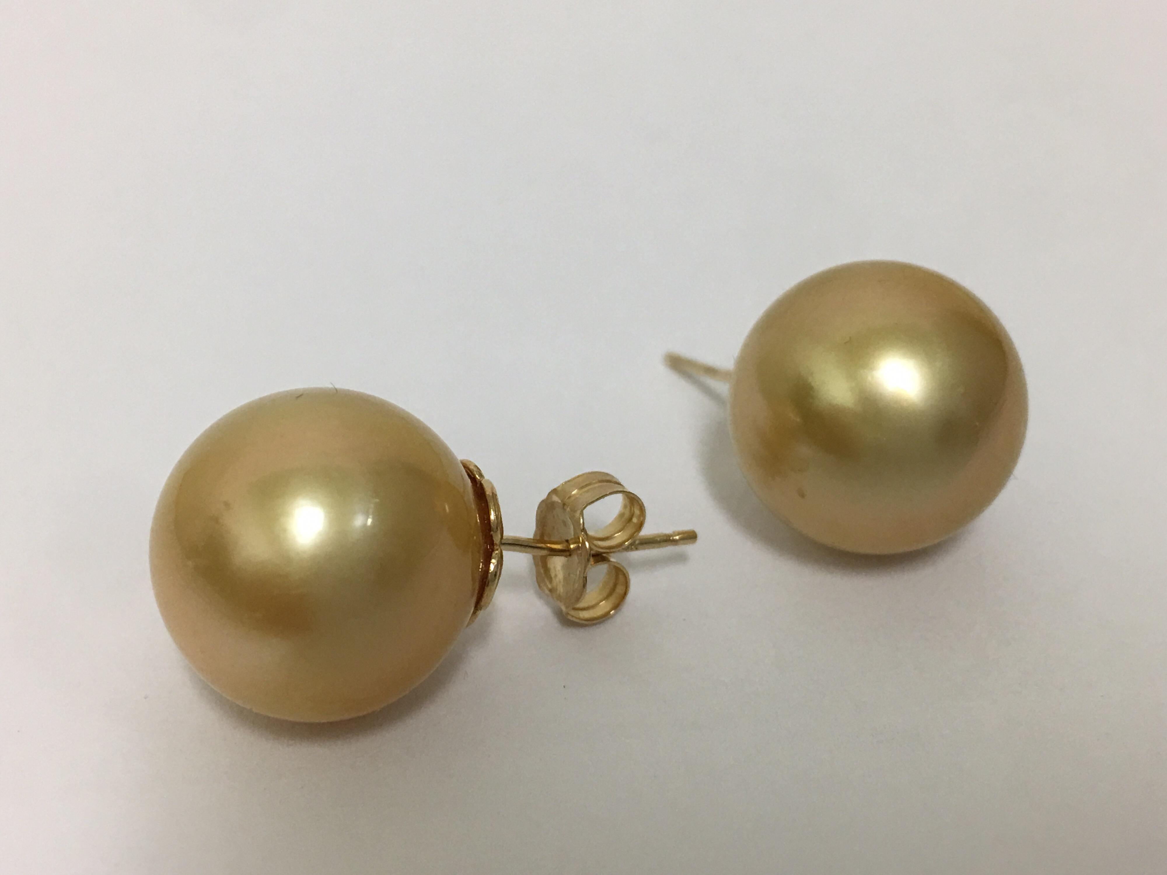 Contemporary Golden South Sea Pearl Studs