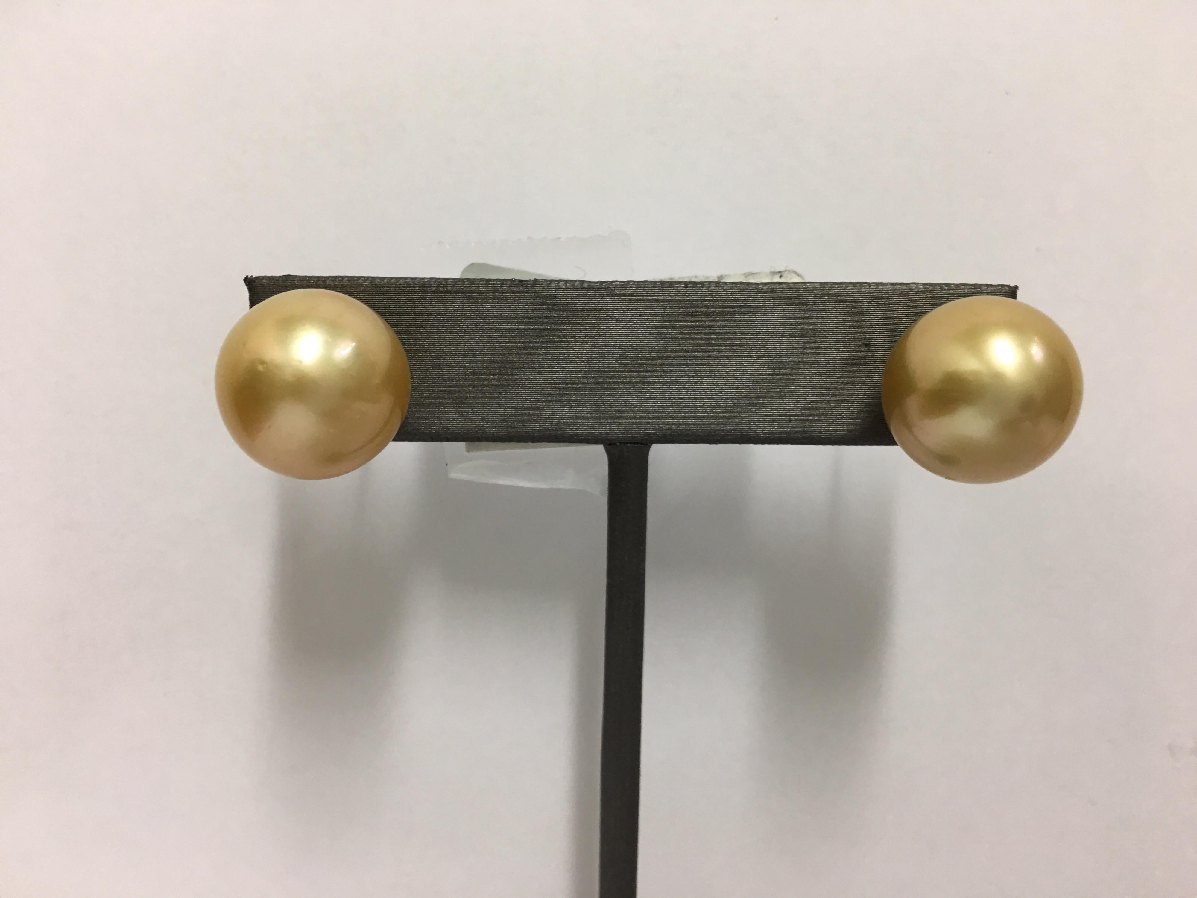 Golden South Sea Pearl Studs In New Condition In Trumbull, CT