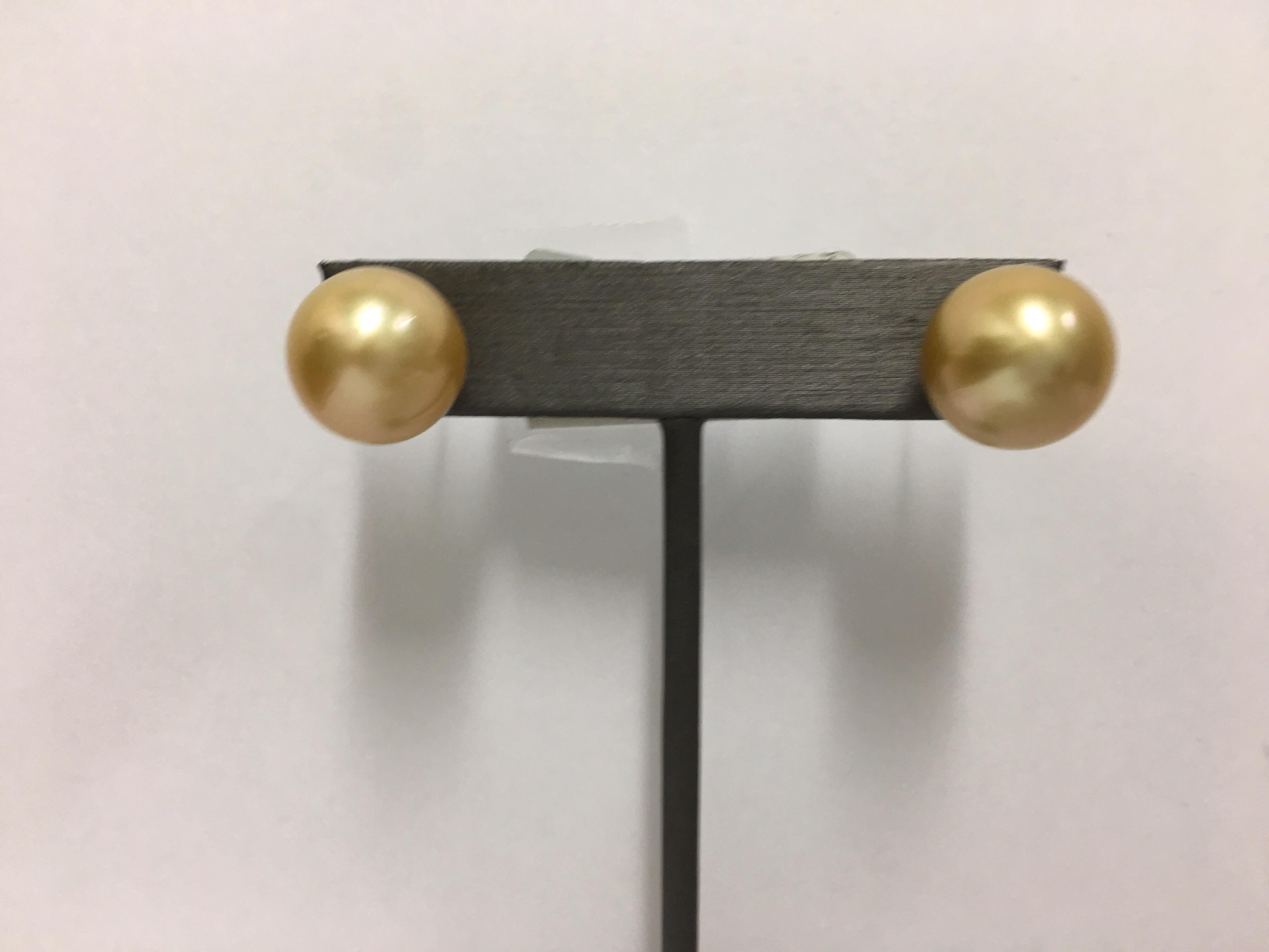 Golden South Sea Pearl Studs 1
