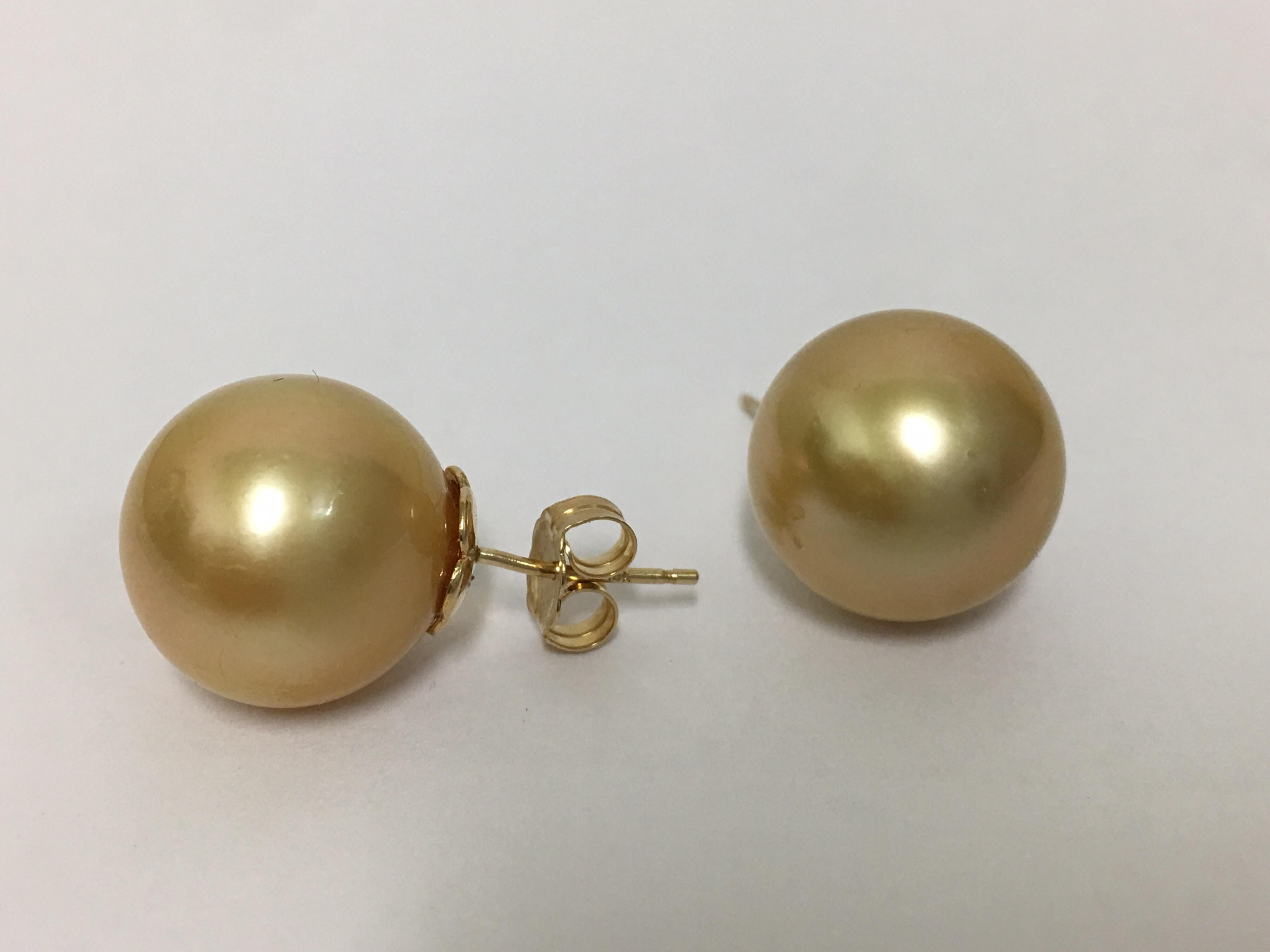 Golden South Sea Pearl Studs 2