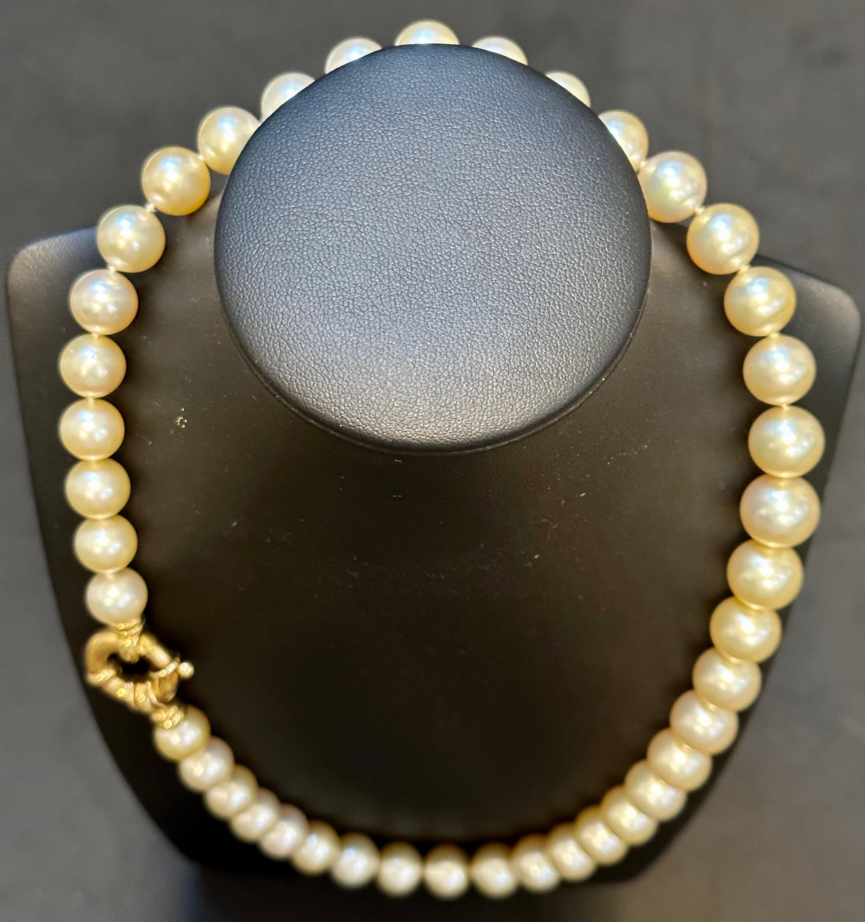 Round Cut Golden South Sea Pearls 10-12 MM Strand Necklace 18 Kt Gold  Clasp 18