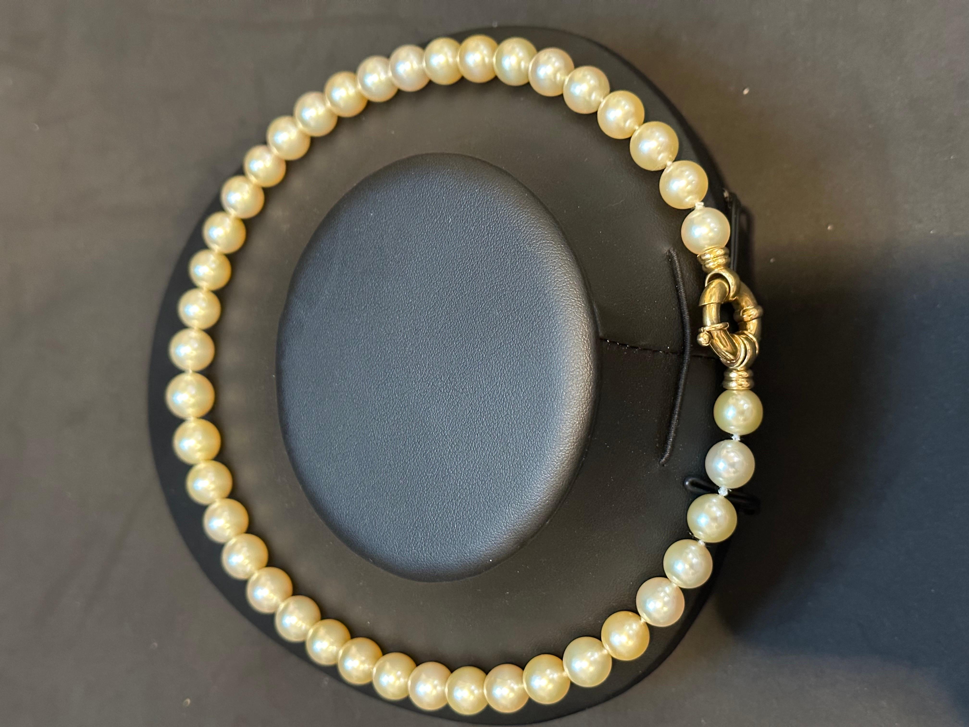 Goldene Südseeperlen 10-12 MMstrang-Halskette 18 Kt Gold  Spange 18