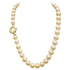 Golden South Sea Pearls 10-12 MM Strand Necklace 18 Kt Gold  Clasp 18" Long 