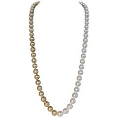 Golden South Sea Pearls Diamond Clasp