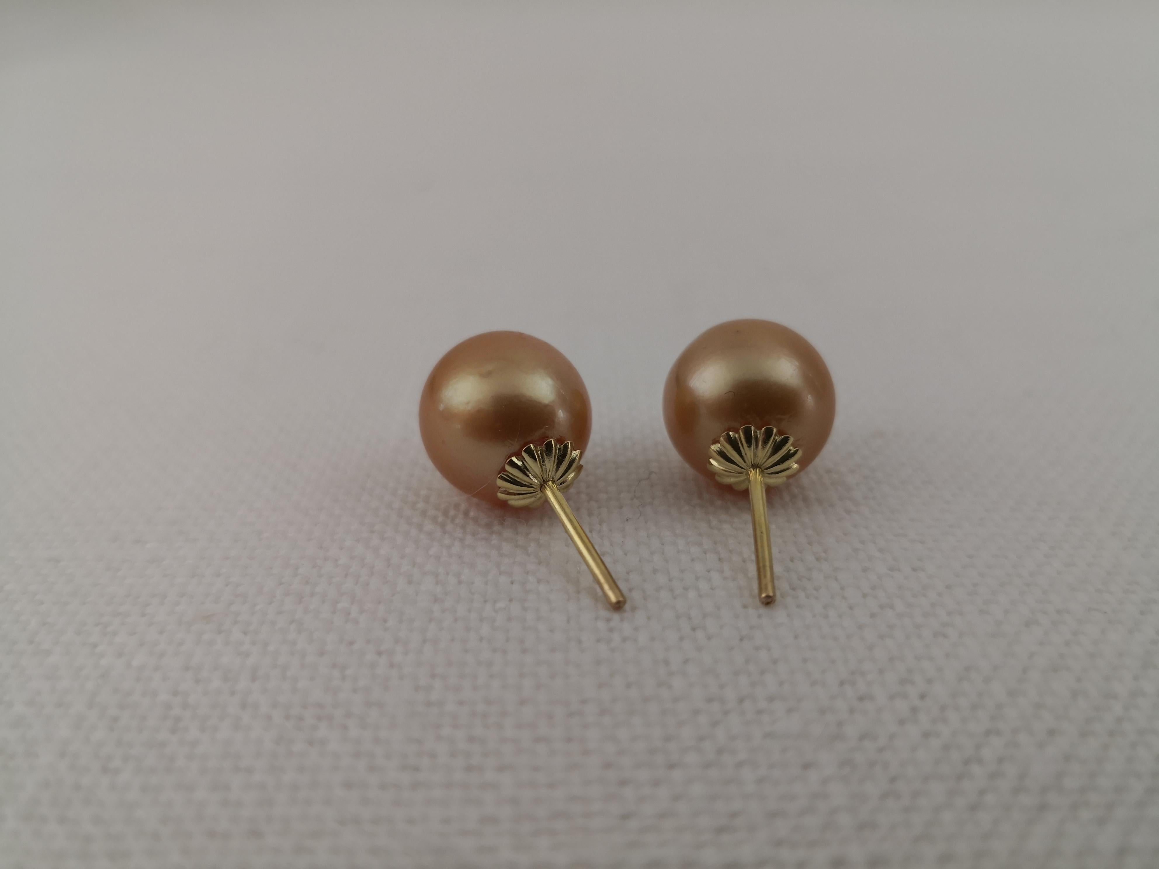 Golden South Sea Pearls Earrings, Round, 18 Karat Gold 1