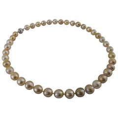Golden South Sea Pearls Necklace, 18 Karat Gold