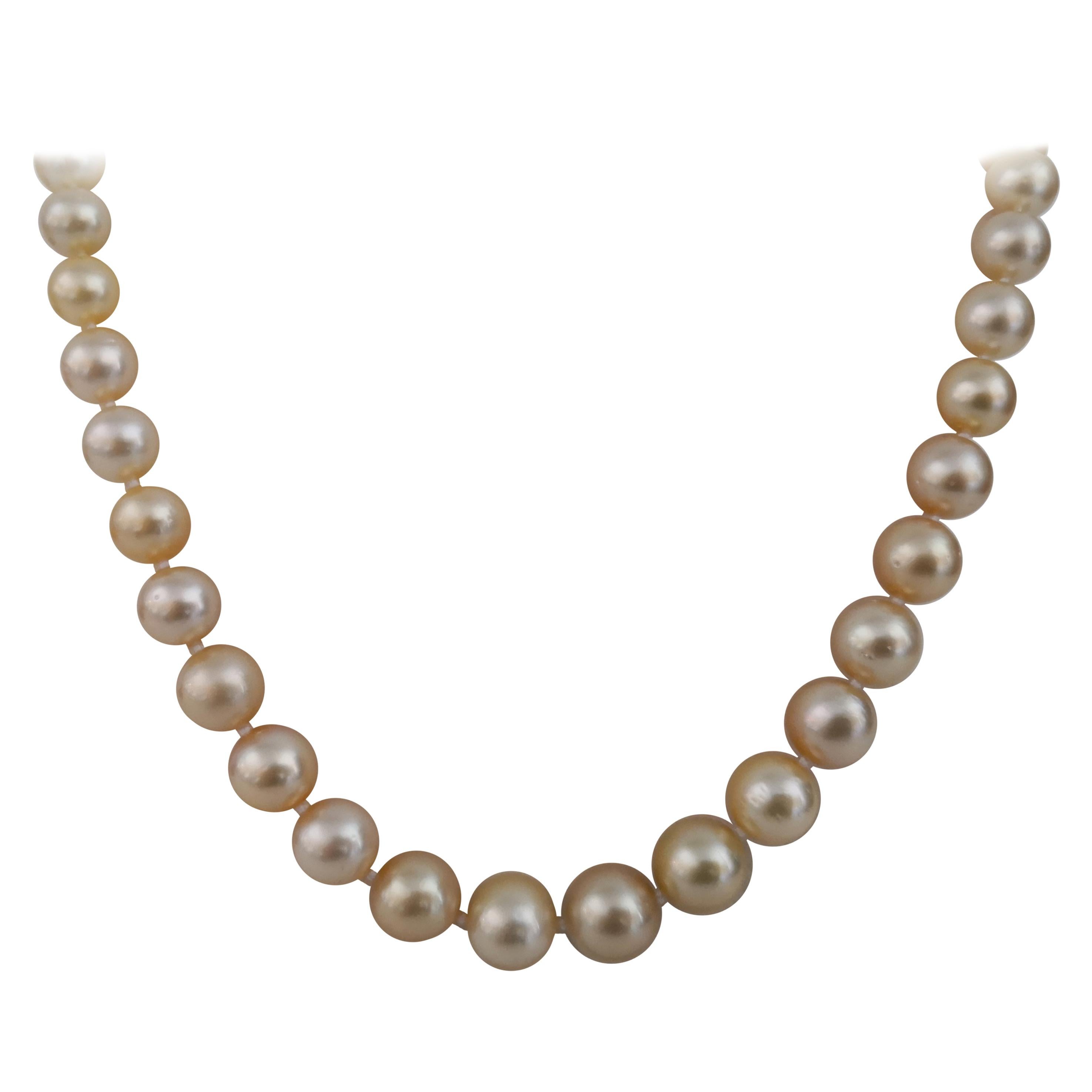 Golden South Sea Pearls Necklace, Round For Sale at 1stDibs
