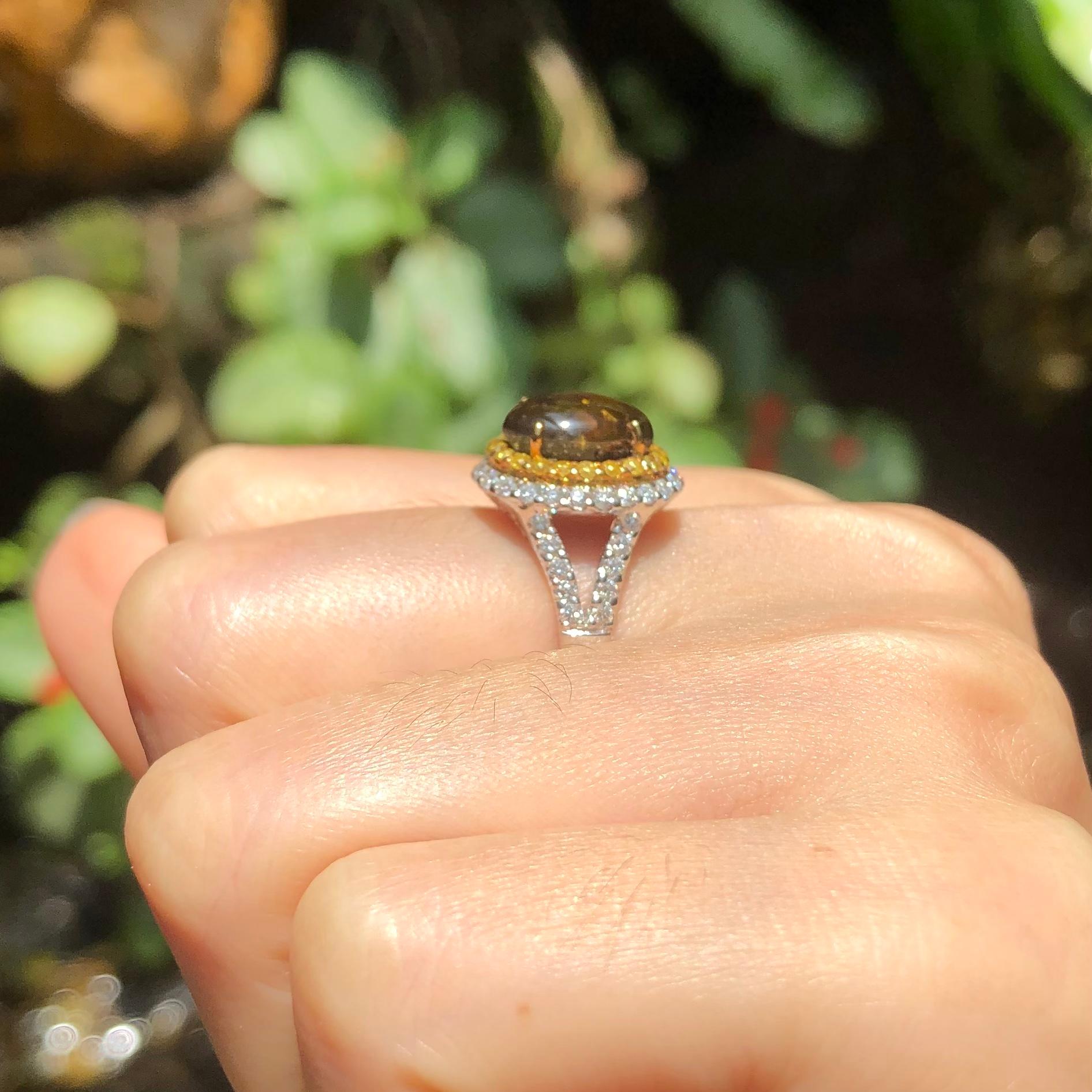 Goldener Ring mit goldenem Sternsaphir, gelbem Saphir und Diamant aus 18 Karat Weißgold  (Zeitgenössisch) im Angebot