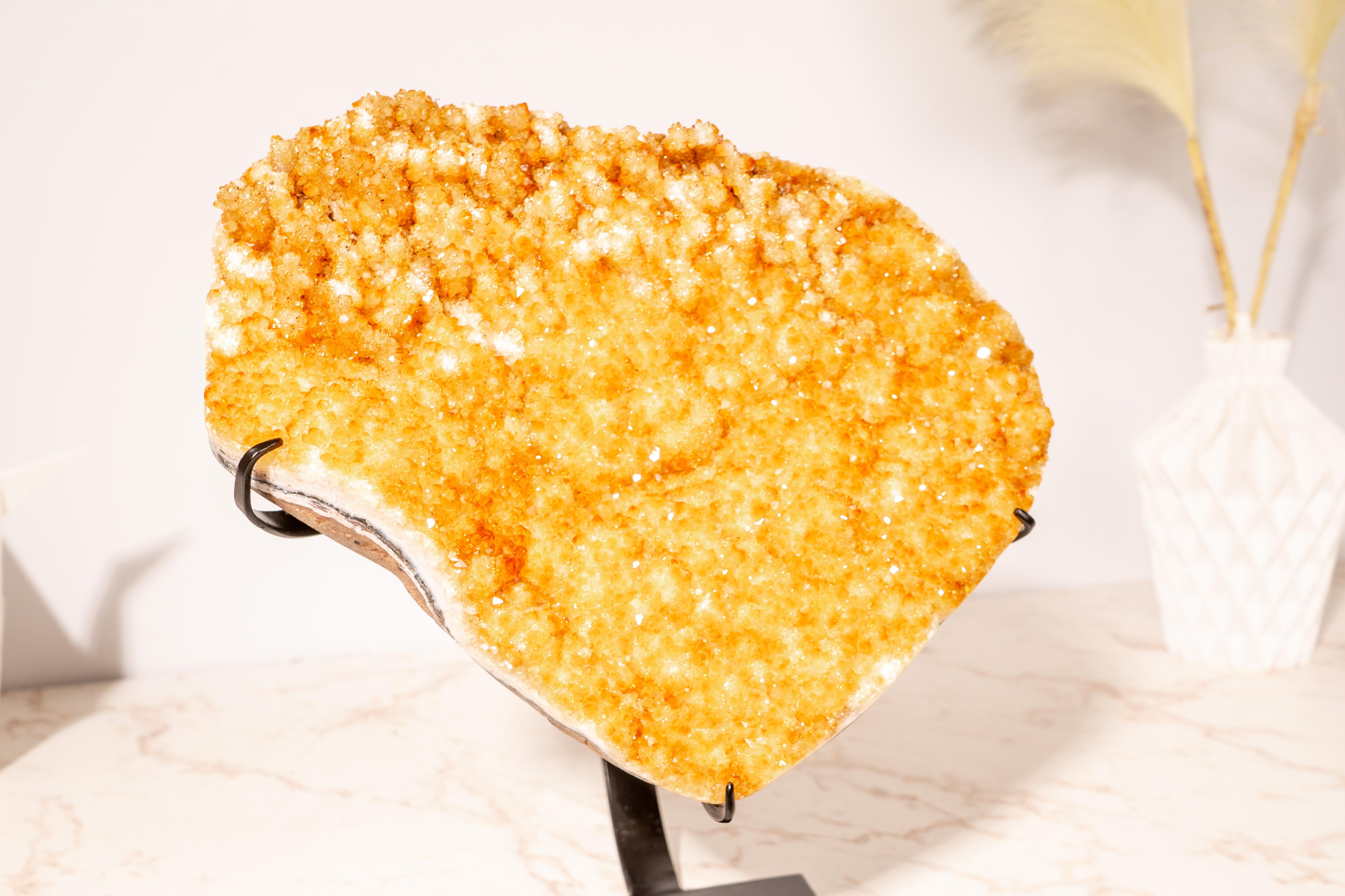 Cluster di citrino giallo oro con rara formazione di fiori di stalattite di citrino

▫️ Descrizione ▫️

Un cluster di citrino che mostra un'estetica splendida, mescolando un bel colore giallo oro, piccole e rare stalattiti, formando un esemplare che