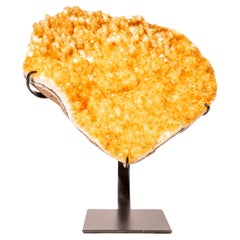 Golden Yellow Citrine Cluster with Stalactites, Accent Crystal