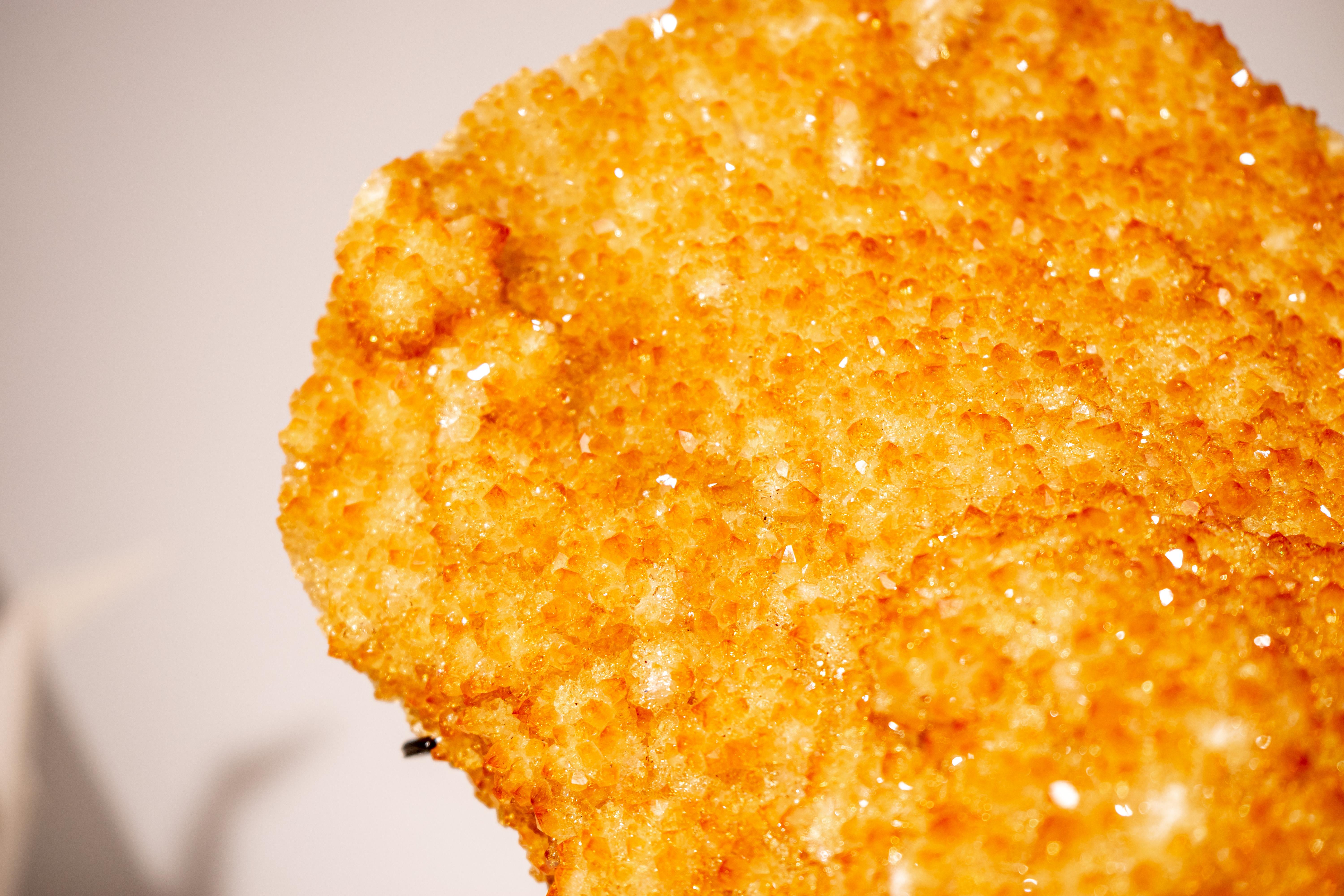 Goldener gelber Citrin-Cluster mit einer großen Rosette-Blume im Angebot 4