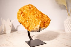 Racimo de Citrino Amarillo Dorado con una Gran Flor en Roseta