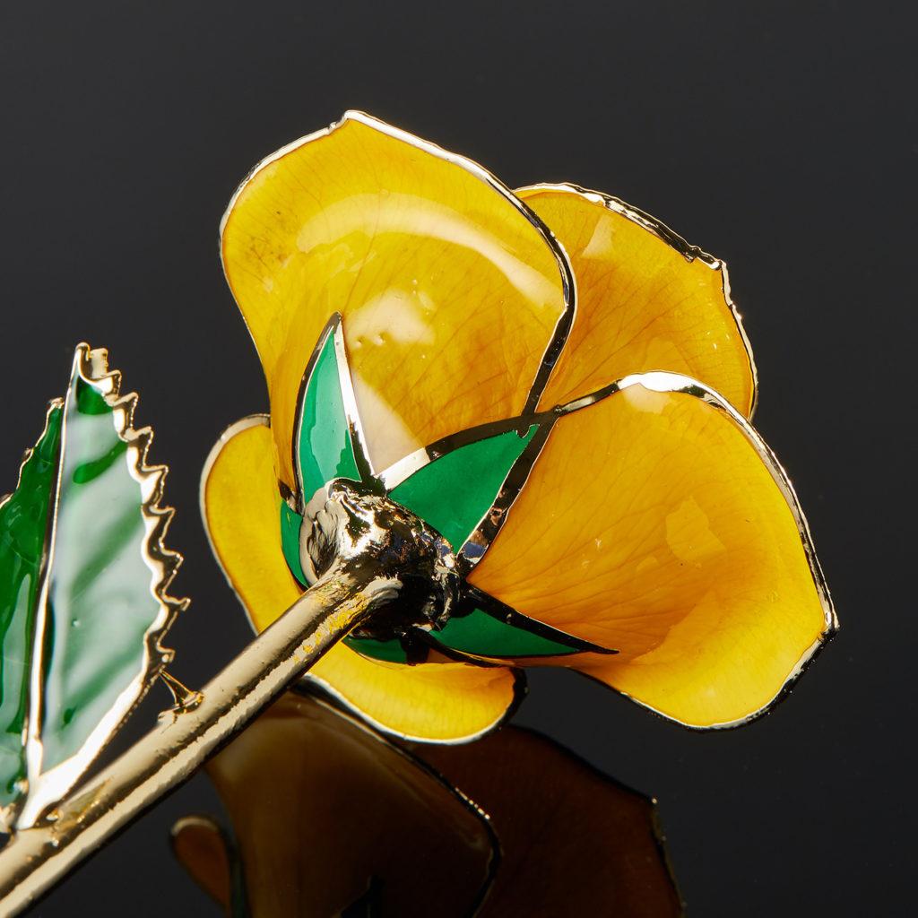 Goldenrod Geschenk, glänzender Lack Real Rose in 24k Gold mit LED-Halterung im Zustand „Neu“ im Angebot in Belmont, MA