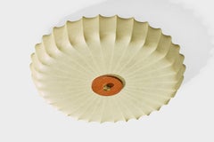 Goldkant, Flush Mount, Harz, Teak, Messing, Deutschland, 1960er Jahre