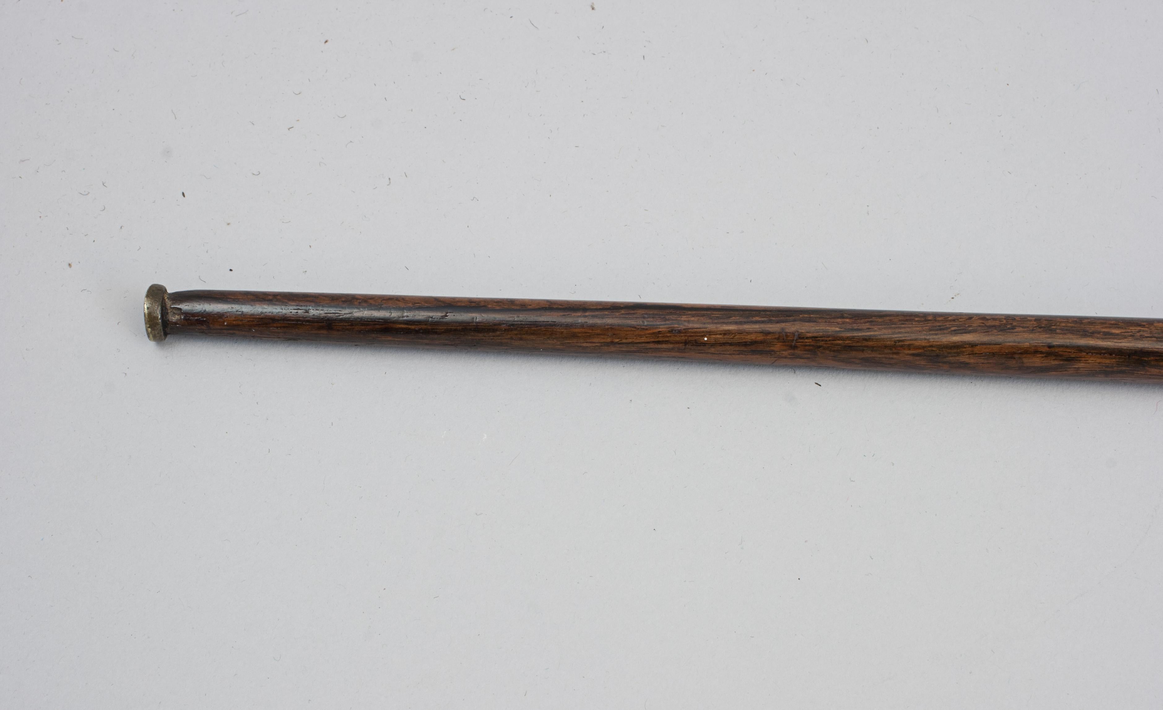 Golf Walking Stick, Sunday Club. 2