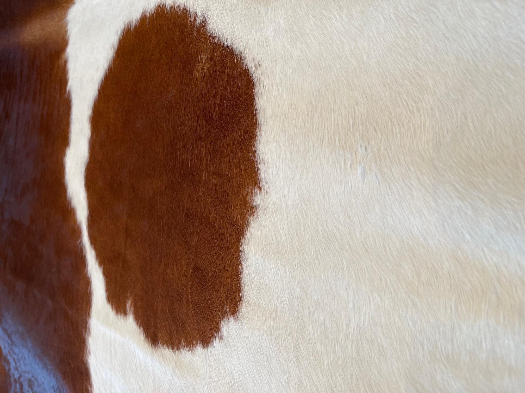 Modern Gomez Contemporary Spotted Cowhide Rug For Sale