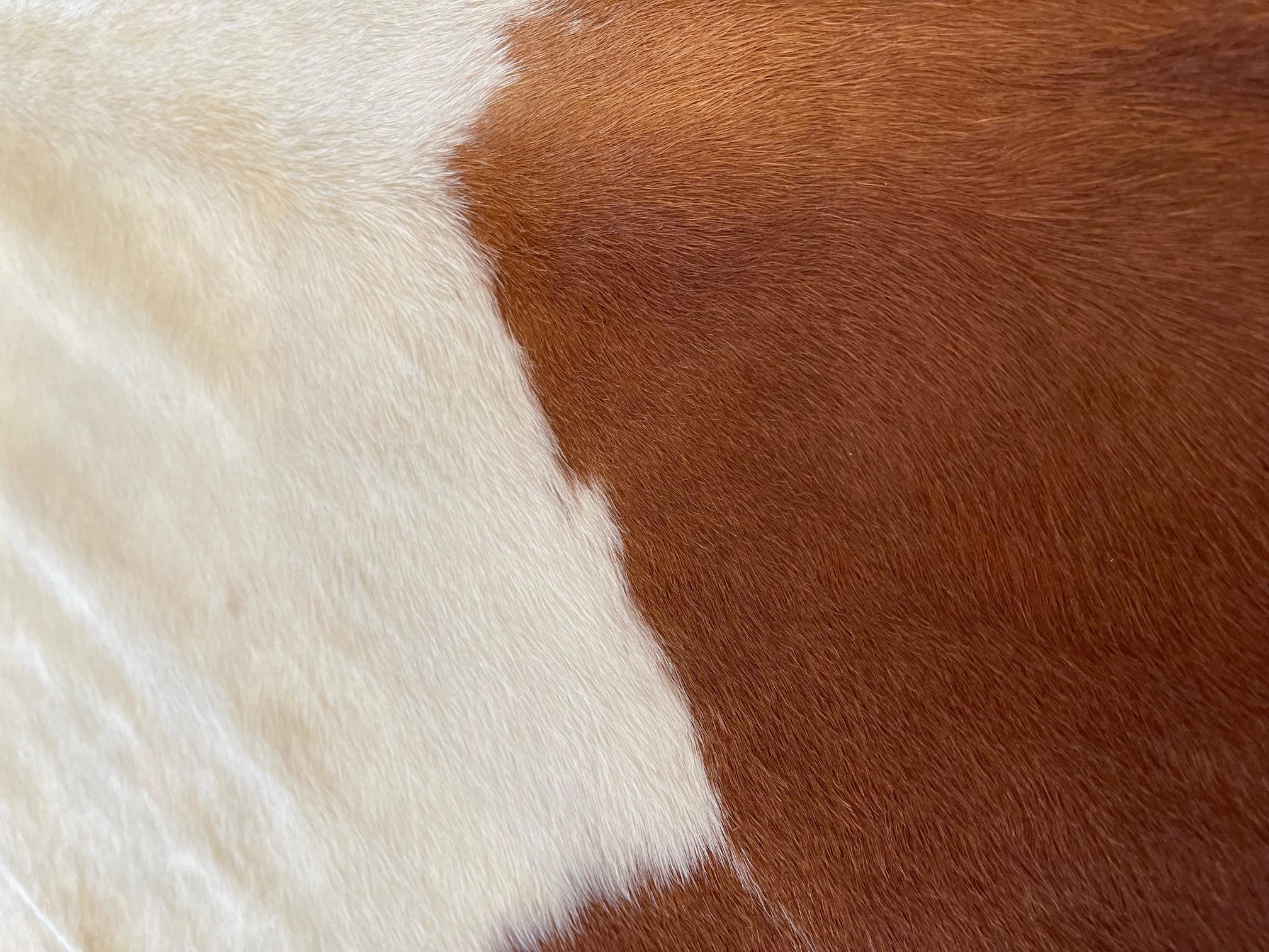 South African Gomez Contemporary Spotted Cowhide Rug For Sale