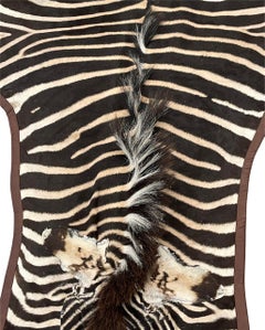 Gomez Zebra Hide Rug Trimmed in Brown Italian Leather