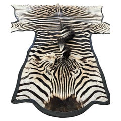 Gomez Zebra Hide Rug Trimmed in Black Italian Leather