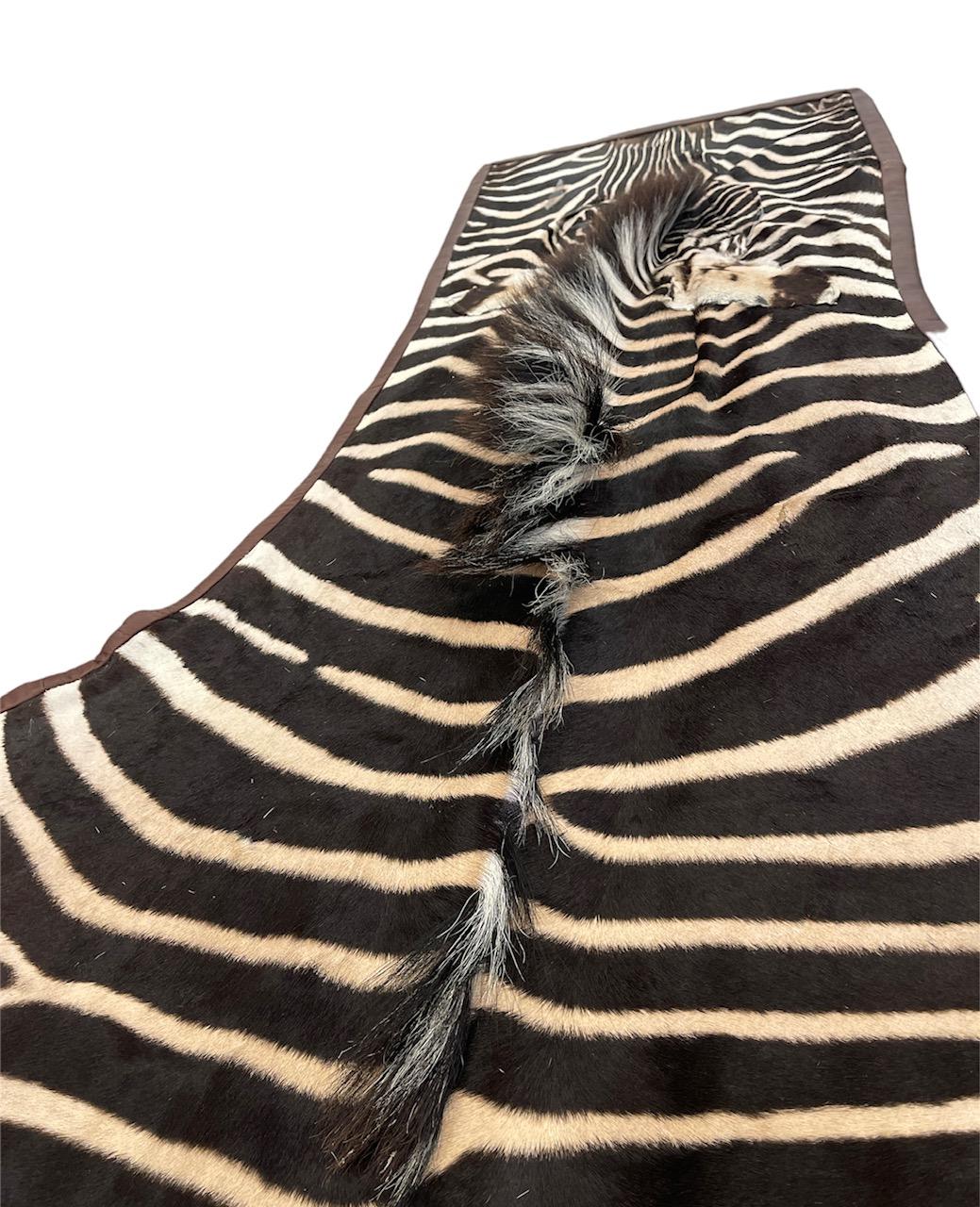 American Gomez Zebra Hide Rug Trimmed in Brown Italian Leather