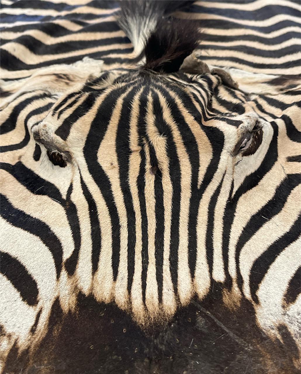 Gomez Zebra Hide Rug Trimmed in Black Italian Leather In New Condition For Sale In Saint Louis, US