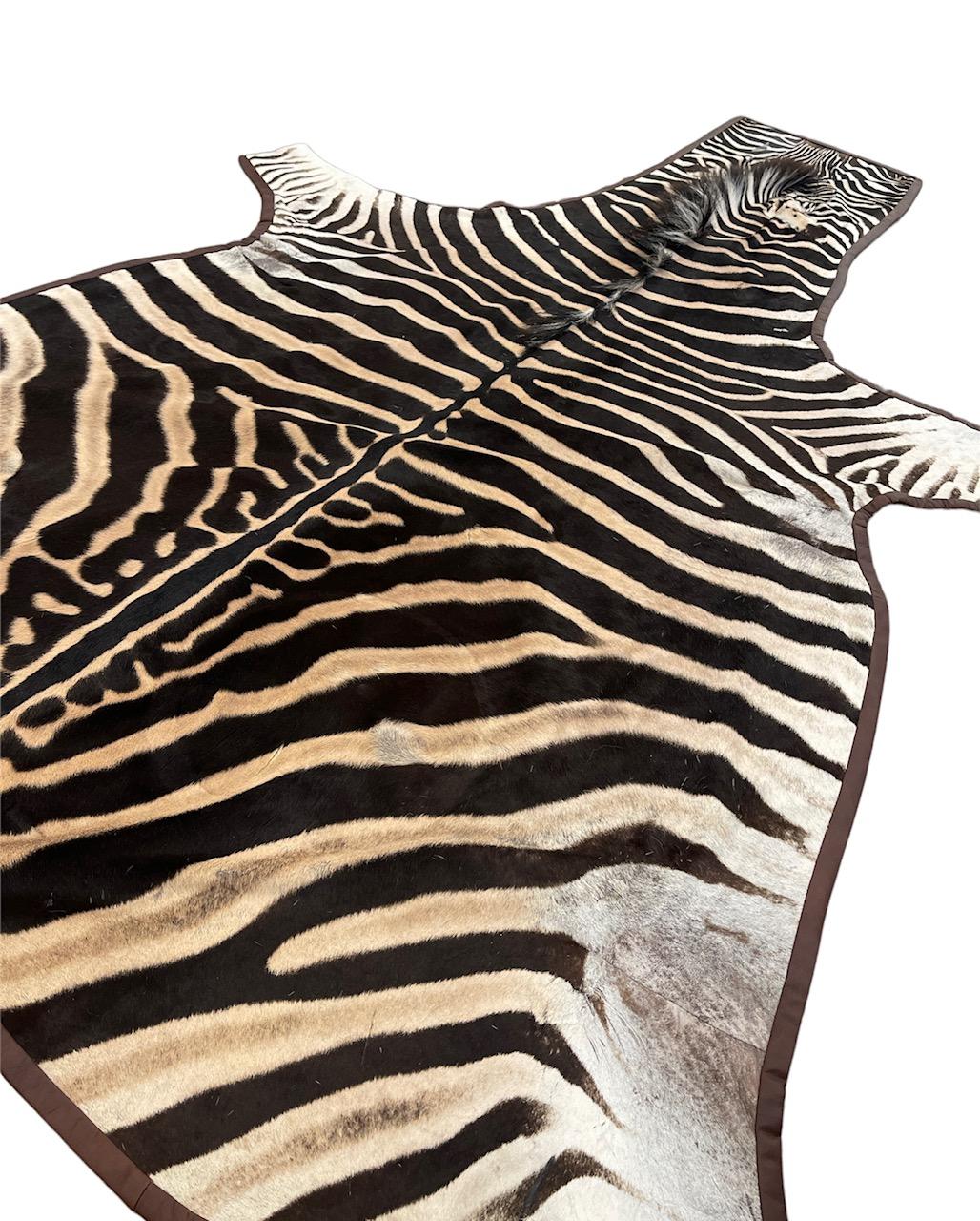 Contemporary Gomez Zebra Hide Rug Trimmed in Brown Italian Leather