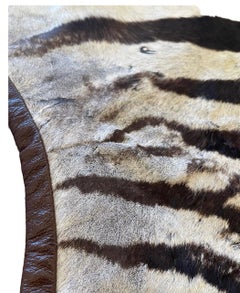 Gomez Zebra Hide Rug Trimmed in Brown Italian Leather