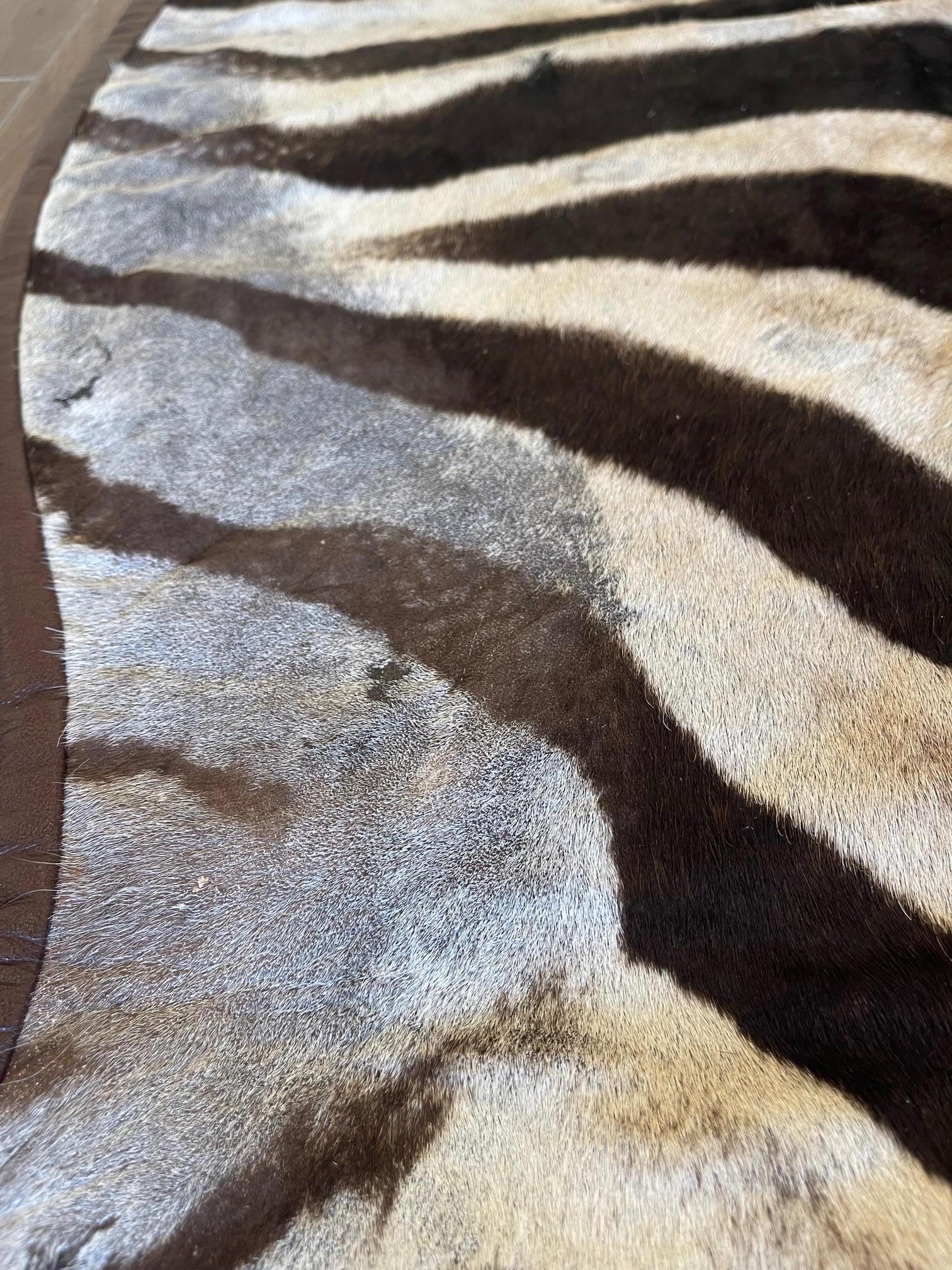 Gomez Zebra Hide Rug Trimmed in Brown Italian Leather In New Condition For Sale In Saint Louis, US