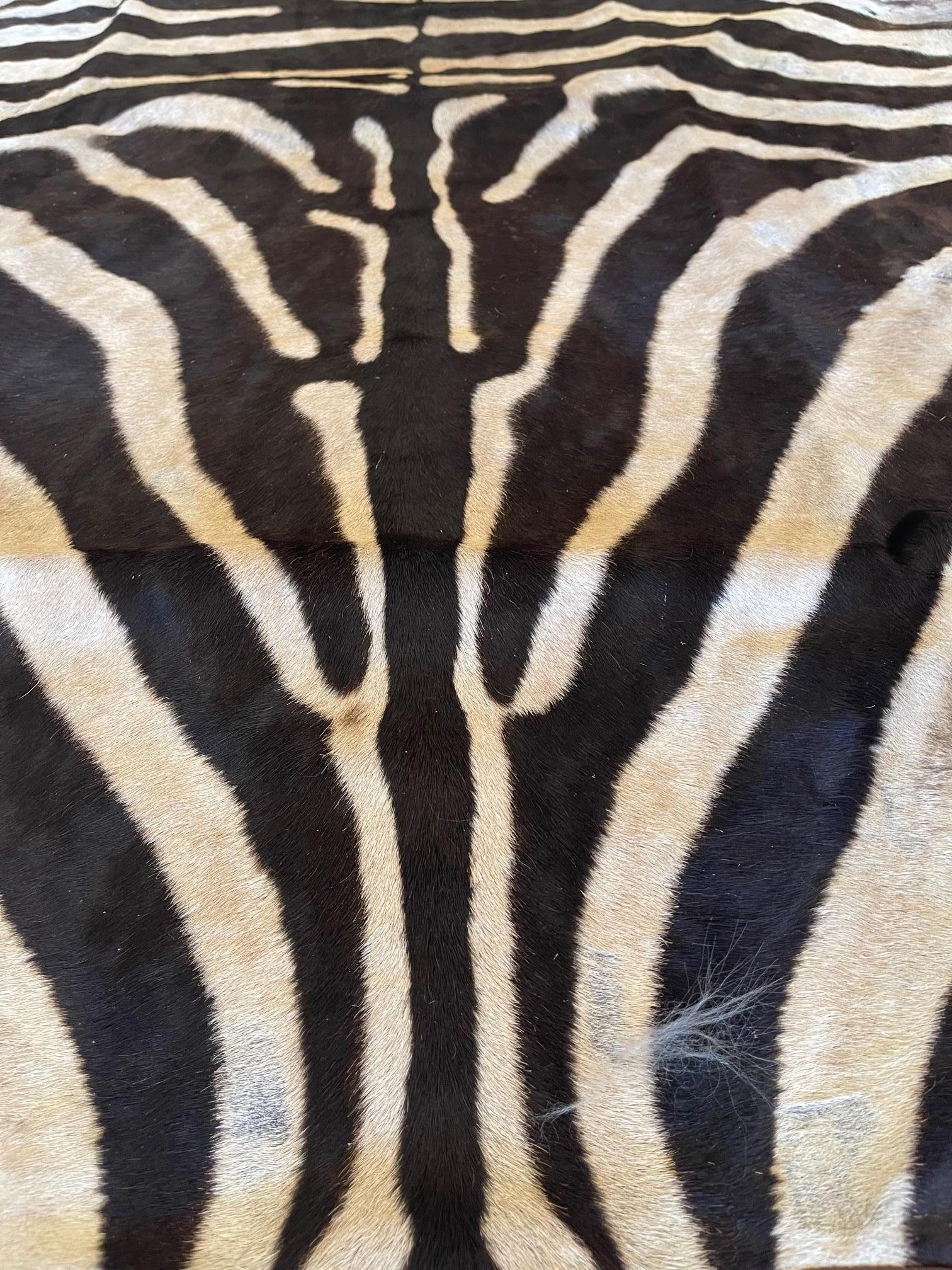Contemporary Gomez Zebra Hide Rug Trimmed in Brown Italian Leather For Sale