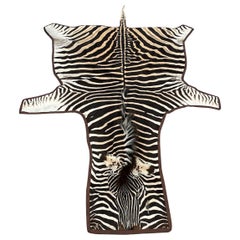 Gomez Zebra Hide Rug Trimmed in Brown Italian Leather