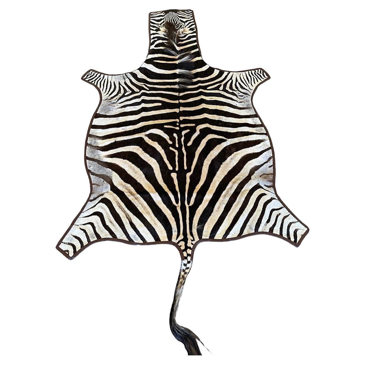 Gomez Zebra Hide Rug Trimmed in Brown Italian Leather