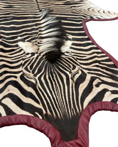 A. Gomez Zebrafellteppich mit burgunderfarbenem Lederbesatz
